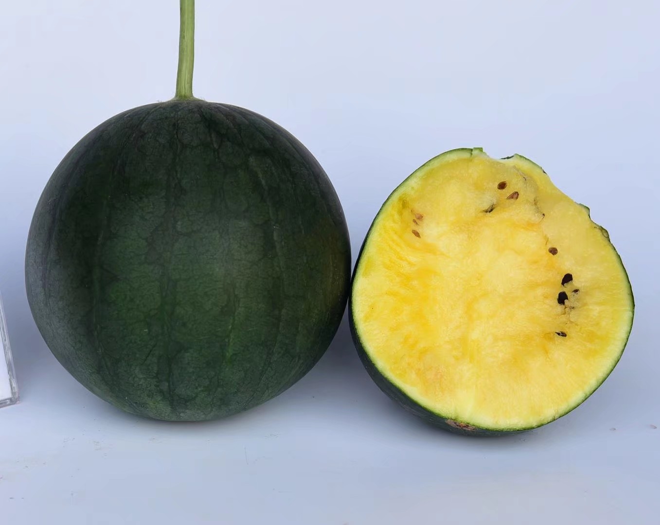 ABUIABACGAAg8sHXjAYovLje3QEwzQo4uAg